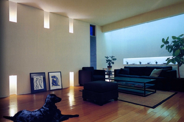 中庭のある狭小住宅